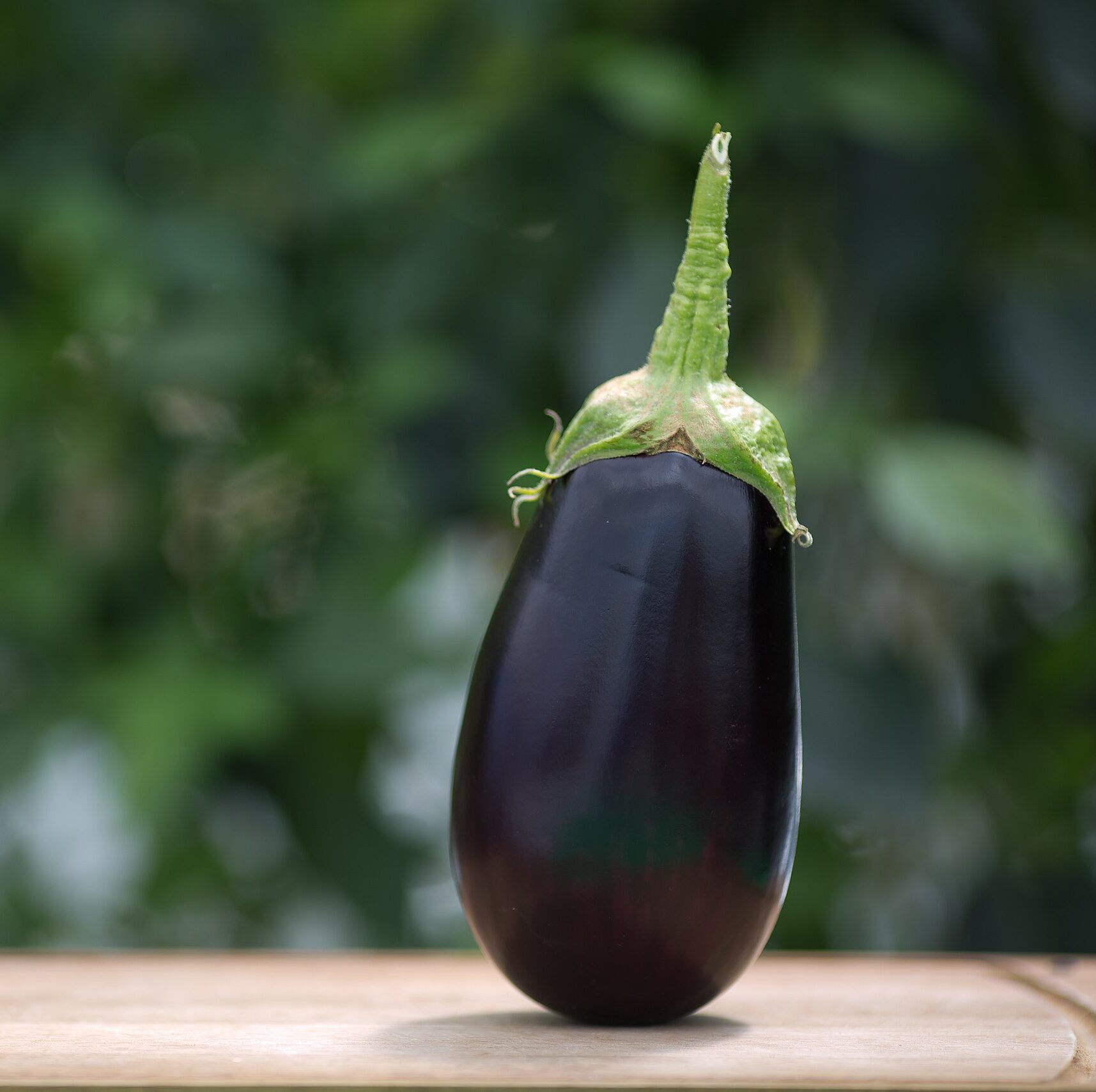 Aubergine italienne